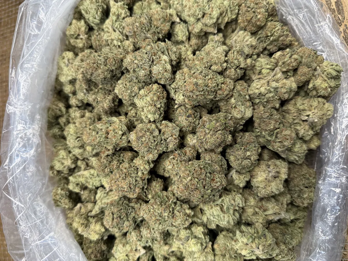 Pineapple Og Flower